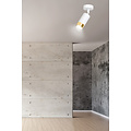 Emibig Emibig Boras wit met goud afwerking plafondspot richtbaar GU10 - Stijlvolle verlichting voor elk interieur
