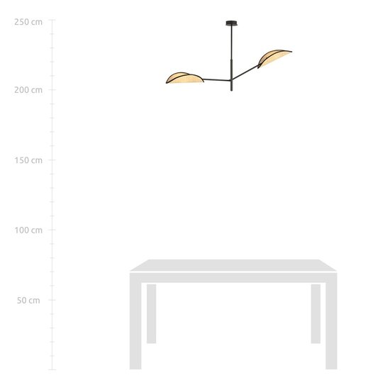 Emibig Emibig VENE 2 BLACK/RATTAN - Lámpara de techo elegante para cualquier espacio