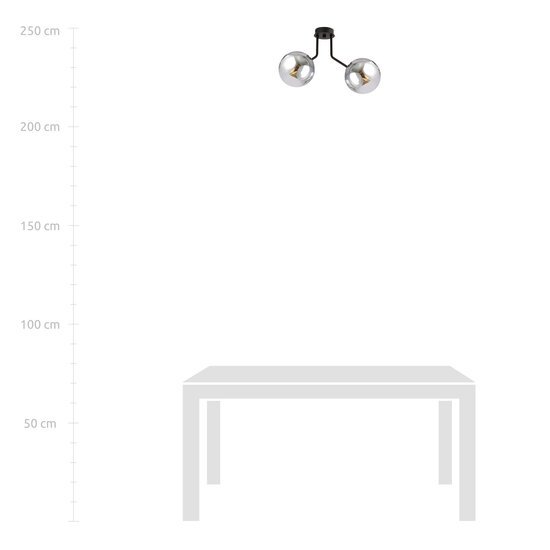 Emibig Emibig Kolding plafondlamp met 2 gerookte bollen voor E14 lamp - Perfecte sfeerverlichting voor elk interieur