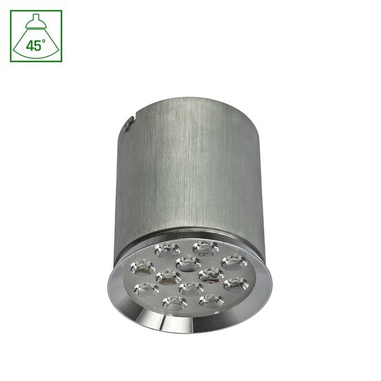 Spectrum LED Spectrum LED CHLOE  12LED  230V 12W IP20  45DEG  WW CEILING - Create a warm atmosphere in your space