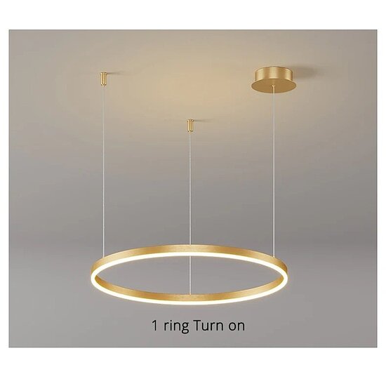 Homelighting Kanko SE LED 80 - Modern pendant lamp for stylish lighting