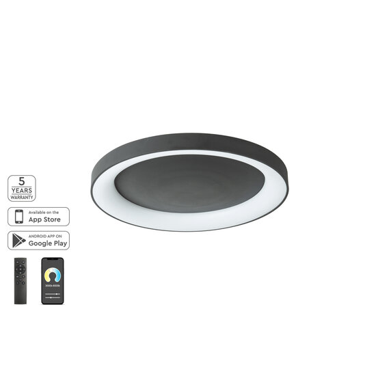 Homelighting Amaya SE LED 80 - Modern black smart ceiling lamp