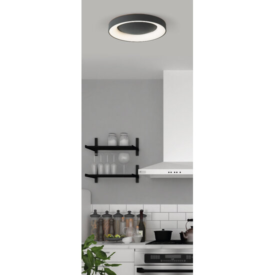 Homelighting Amaya SE LED 80 - Modern black smart ceiling lamp