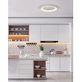 Homelighting Amaya SE LED 60 - Smart ceiling light for any space
