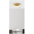 Homelighting Amaya SE LED 60 - Moderne Deckenlampe in gebürstetem Gold für stilvolle Beleuchtung