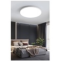 Homelighting Rondo SE LED 30 - Moderne Deckenlampe mit vielseitigen Lichtoptionen