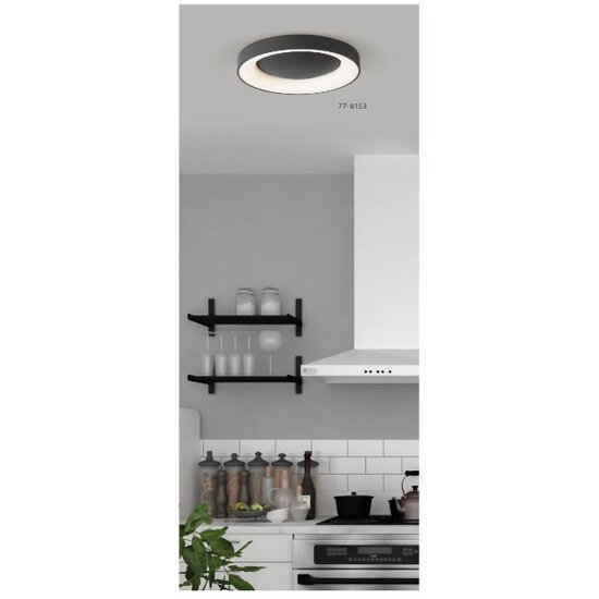 Homelighting Amaya SE LED 60 - Lampe de plafond noire moderne pour tous les espaces