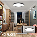 Homelighting Rondo SE LED 36 - Lámpara de techo moderna con función 3CCT