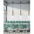 Homelighting Adept Tube SE21-GM-5 - Modern pendant lamp for stylish lighting