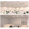 Homelighting Magnetic Flex MF30-303 - Iluminación de riel moderna y versátil