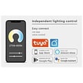 Homelighting Magnetic Flex MFS30-06-01 - Smart and dimmable lighting for any space