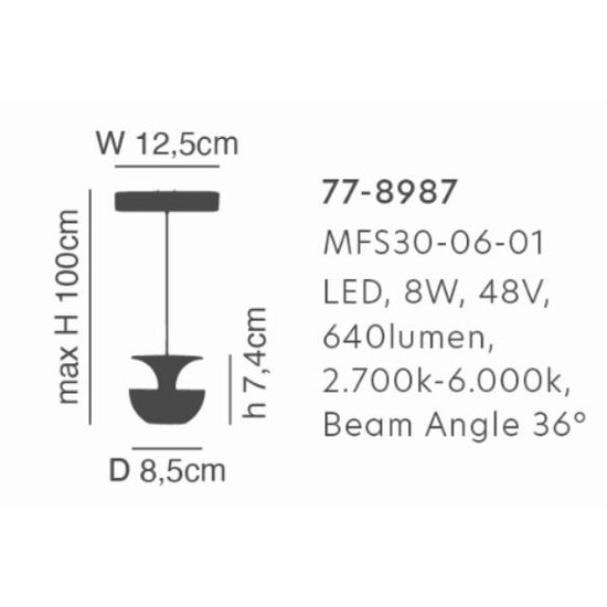 Homelighting Magnetic Flex MFS30-06-01 - Intelligente und dimmbare Beleuchtung für jeden Raum