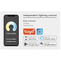 Homelighting Magnetic Flex MFS30-03-01 - Smart lighting for any space