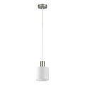 Homelighting Adept Tube SE21-NM-4-SH1 - Moderne Pendelleuchte für stilvolle Beleuchtung