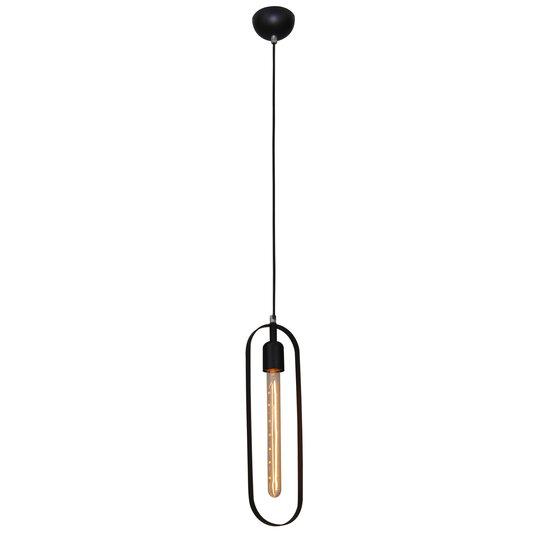 Homelighting Spectre HL-2445-1P1 - Lampe suspendue industrielle élégante