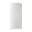 Homelighting Adept Tube SE21-GM-4-GL3 - Modern pendant lamp for stylish lighting