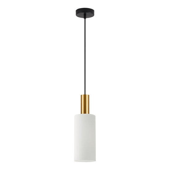 Homelighting Adept Tube SE21-GM-4-GL3 - Modern pendant lamp for stylish lighting