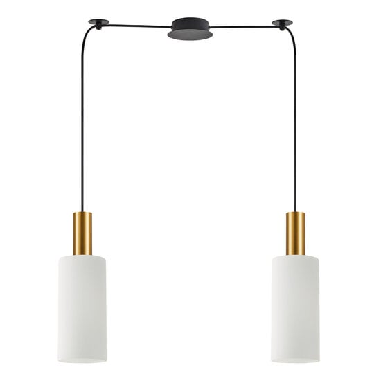 Homelighting Adept Tube SE21-GM-4-BL2-GL3 - Modern pendant lamp for stylish lighting