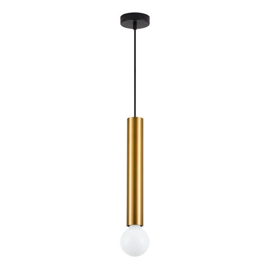 Homelighting Adept Tube SE21-GM-5-BL2 - Modern pendant lamp for stylish lighting