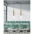 Homelighting Adept Tube SE21-GM-5-BL2 - Modern pendant lamp for stylish lighting