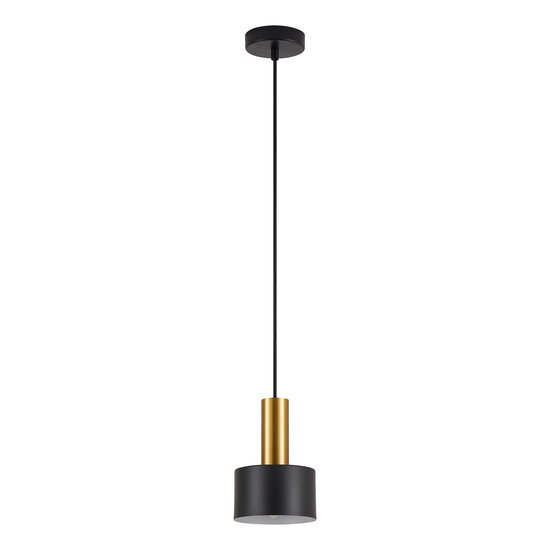 Homelighting Adept Tube SE21-GM-4-MS1 - Modern pendant lamp for stylish lighting