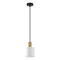 Homelighting Adept Tube SE21-GM-4-SH1 - Moderne hanglamp voor elke ruimte