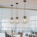 Homelighting Globe SE 3000-1 - Lámpara colgante negra moderna con vidrio claro