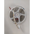 Homelighting SE-ST6-4K 6W 24V 120Chips/m 4000k 10m 8mm 5 - Ideal lighting for any space