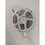 Homelighting SE-ST6-4K 6W 24V 120Chips/m 4000k 10m 8mm 5 - Ideal lighting for any space