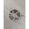 Homelighting SE-ST10-4K 10W 24V 4000K 120Chips/m 10m 8mm 5 - Ideal lighting solution for any space