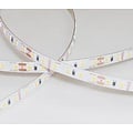 Homelighting SE-CCT-14 14W 24V 3000k-6500k 120Chips/m 10m 8mm 3 - Perfect for versatile lighting in any space