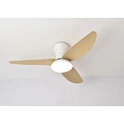 Windy SE LED F100 30W