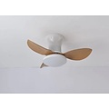 Homelighting Adam SE LED F65 - Ventilador moderno y inteligente para cualquier interior