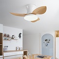 Homelighting Adam SE LED F65 - Ventilador moderno y inteligente para cualquier interior