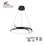Homelighting Eclipta SE LED 50 - Modern pendant lamp with 3CCT memory function