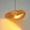 Homelighting Caneshell SE21-CA-60 - Suspension moderne pour un éclairage élégant