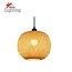 Homelighting Lysa SE21-BA-5050 - Lámpara colgante elegante para cualquier espacio
