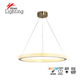 Homelighting Elysia SE LED 80 - Lámpara colgante moderna con control inteligente