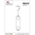 Homelighting Prato SE 110-2 - Suspension dorée à deux lumières avec verres opales