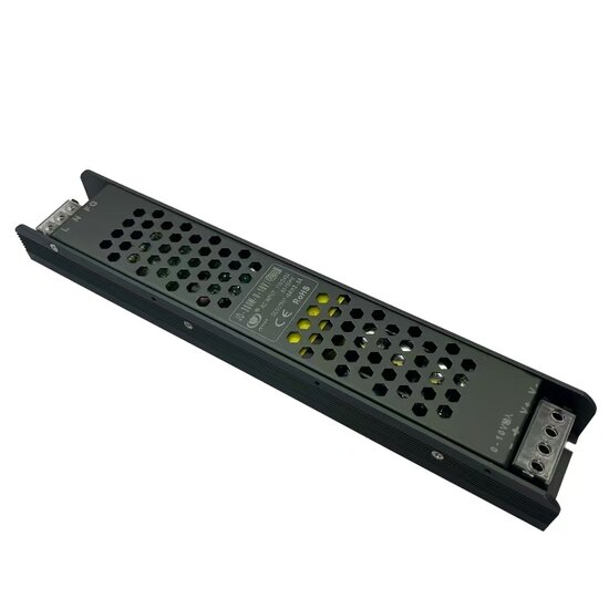 Homelighting Triac SE-TDR-300 - Dimbare driver voor perfecte verlichting