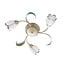Homelighting Caren MX10500E-3 - Elegante plafondlamp voor elke ruimte
