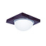 Homelighting Teco Collection 3081F Ø24 - Modern ceiling lamp for stylish interiors