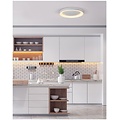 Homelighting Amaya SE LED 80 - Lámpara de techo blanca moderna inteligente