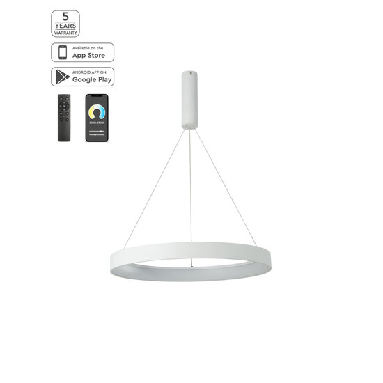 Homelighting Amaya SE LED 60 - Modern black smart pendant lamp