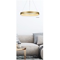 Homelighting Amaya SE LED 60 - Moderne goldene Pendelleuchte für stilvolle Beleuchtung