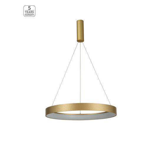 Homelighting Amaya SE LED 60 - Suspension dorée moderne pour un éclairage élégant