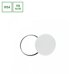 NYMPHEA BLACK & WHITE RINGS 24W CW 230V