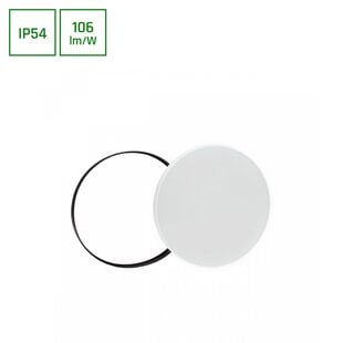 NYMPHEA BLACK & WHITE RINGS