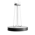 Spectrum LED NYMPHEA OPTIMA BLACK 24W CCT 230V 120DEG IP20 FI300X50MM WHITE BLACK ROUND - Creëer een sfeervolle ambiance in uw ruimte