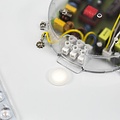Spectrum LED NYMPHEA 36W CCT+DIM WI-FI SPECTRUM SMART - Iluminación inteligente para cada espacio